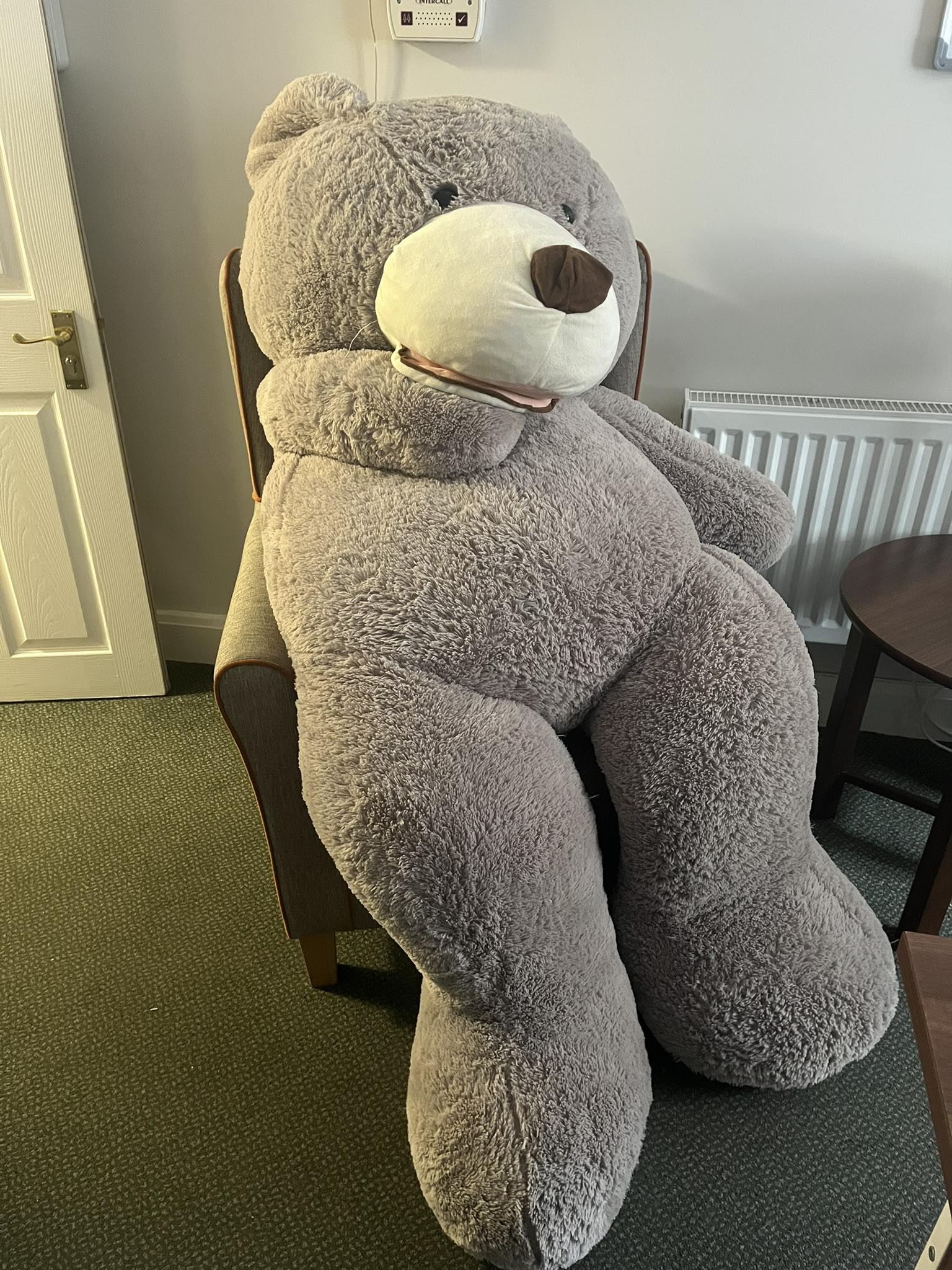 Meet Panda Takeshi, a handmade giant teddy bear looking for a home