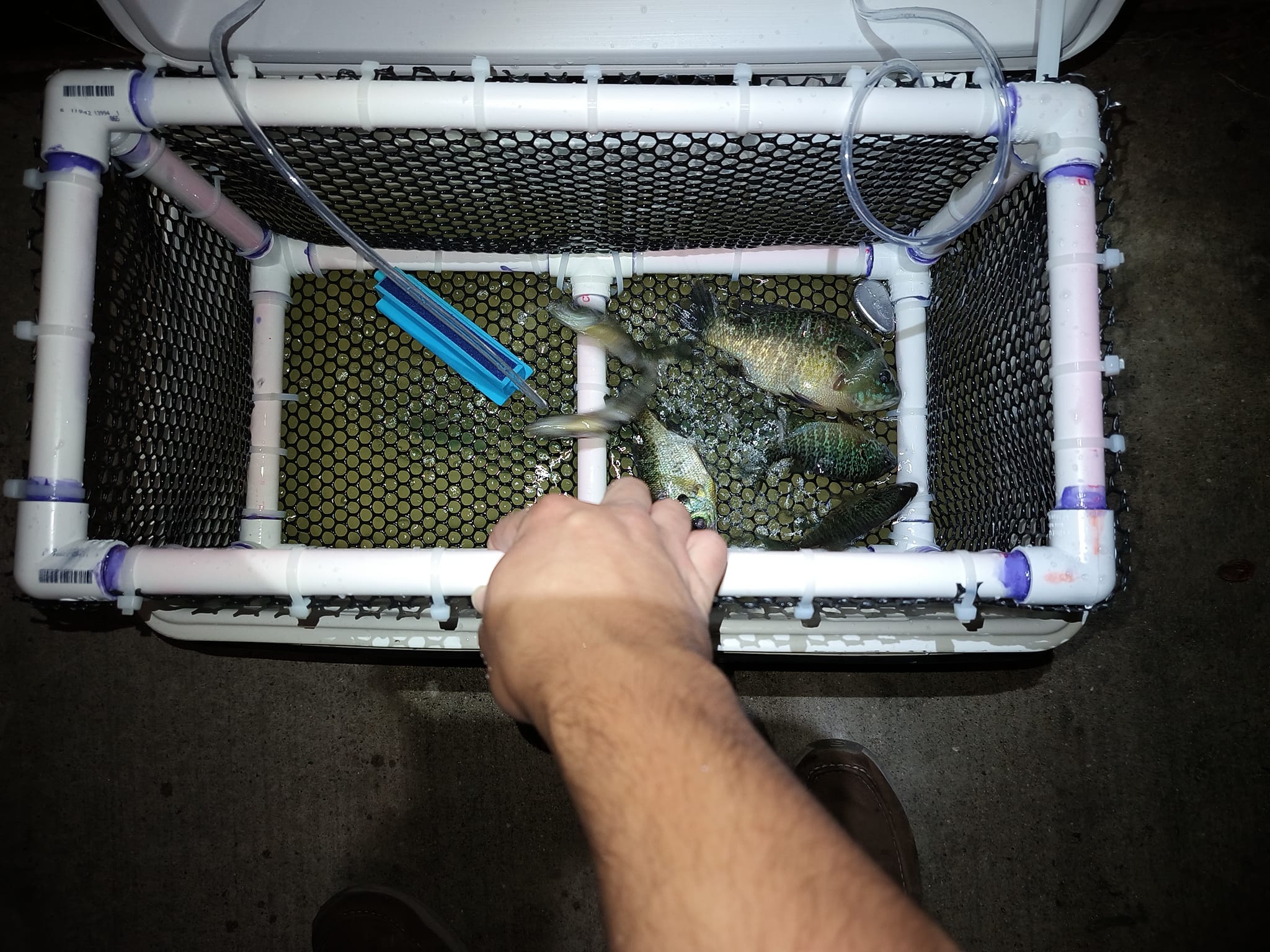 diy fish live box Cage Your fish will last longer in our fish cage that easily lowers deep into the water Building a Live Bait Pen