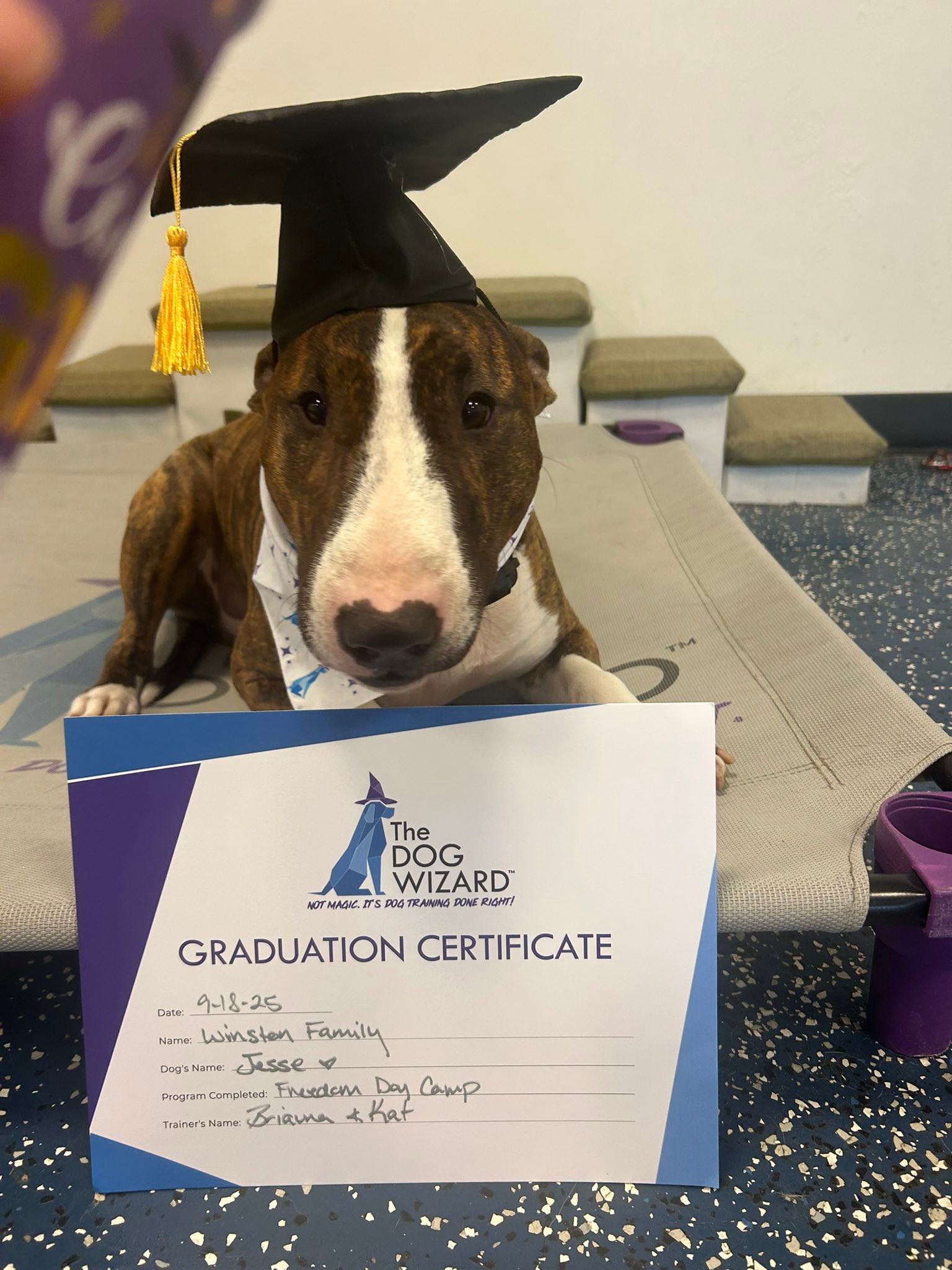 A huge congratulations to the... - The Dog Wizard Fort Myers | Facebook