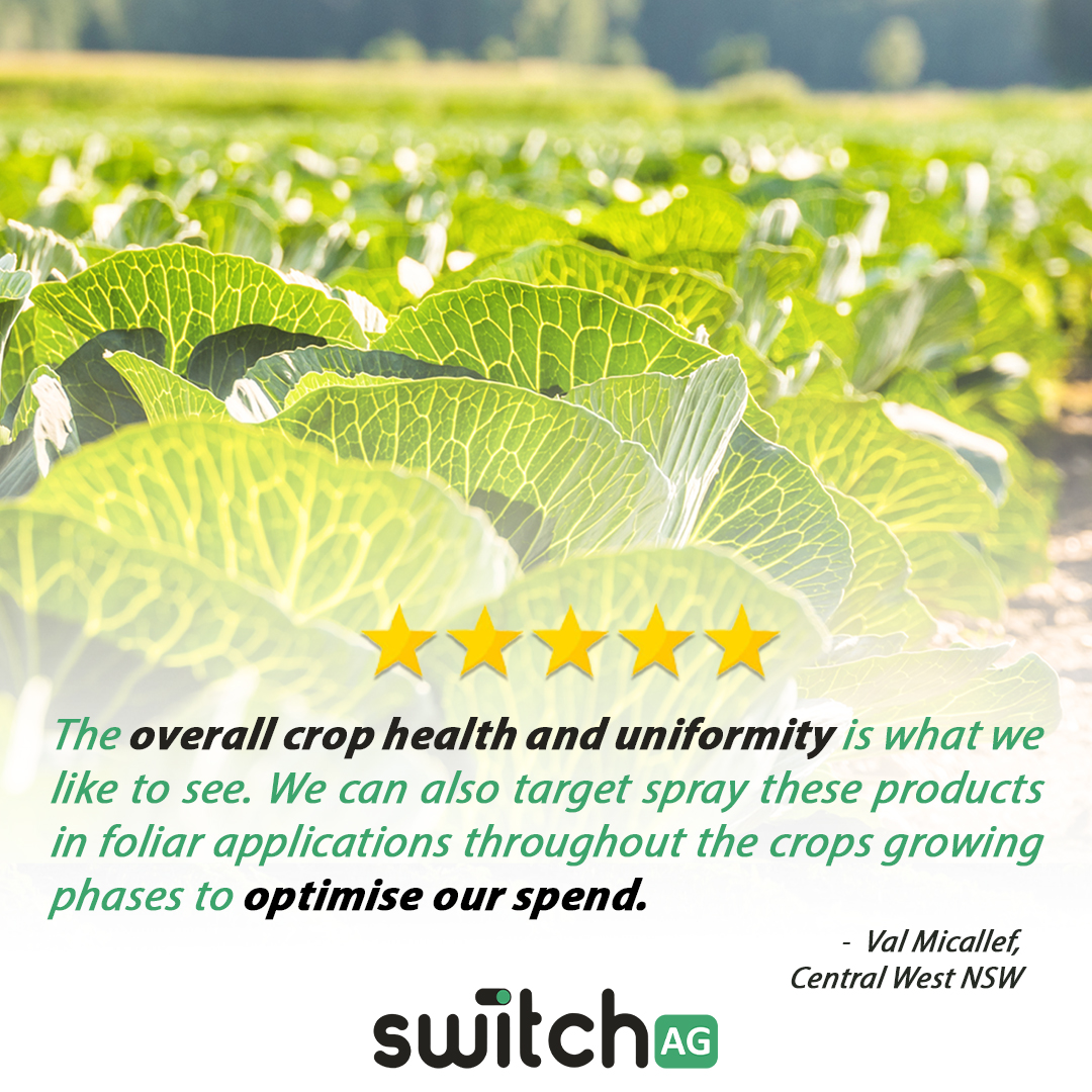 Switch Ag | Cowra NSW