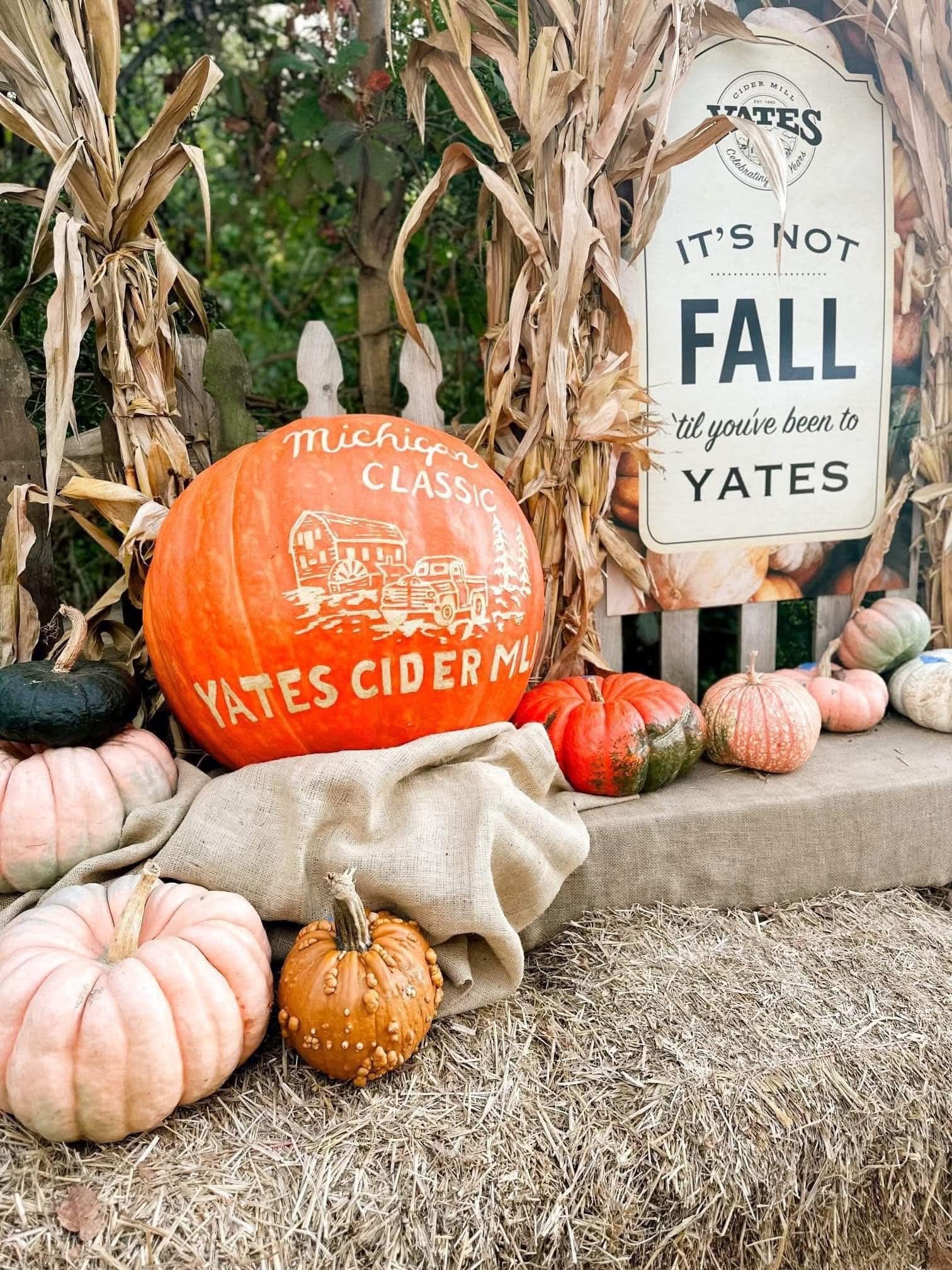 Fall Obsessed - Fall Obsessed added a new photo.