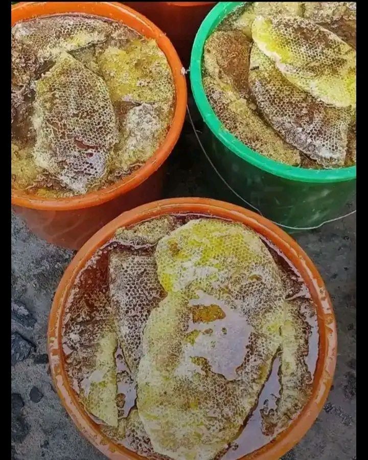 Chala Kedir Badane