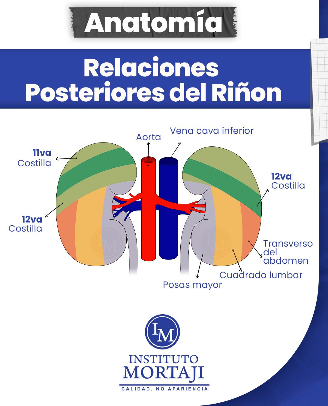 Instituto Mortaji added a new photo. - Instituto Mortaji