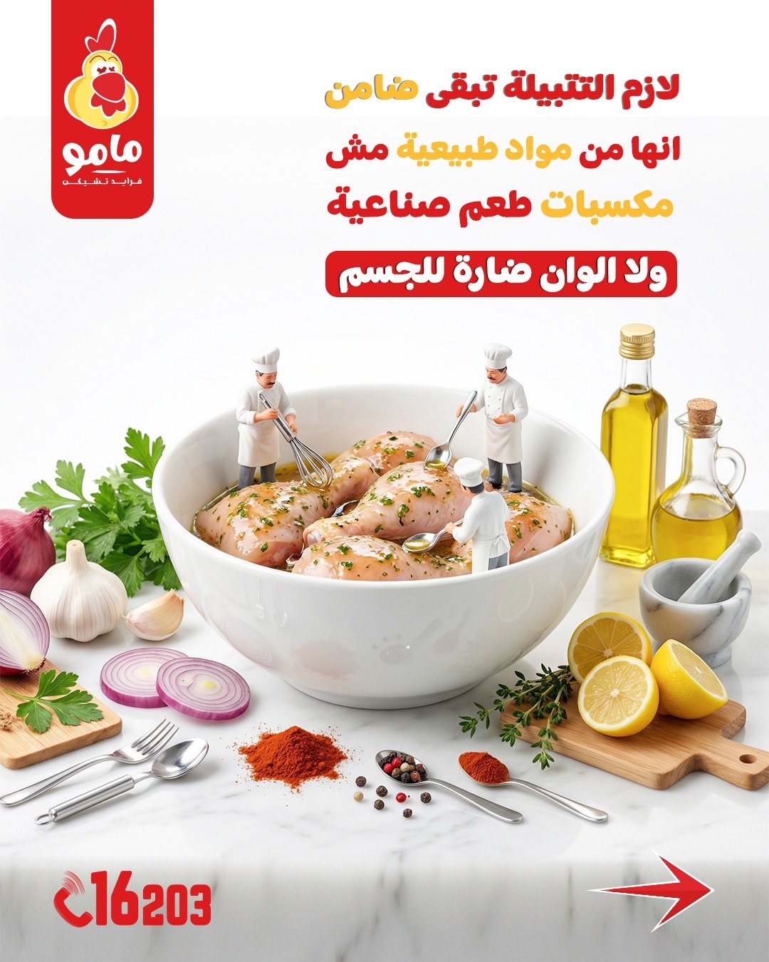 Mumo Fried Chicken - مامو فرايد تشيكن | Alexandria