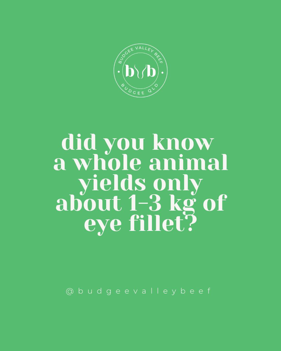 We get asked about steak-only boxes a... - Budgee Valley Beef | Facebook