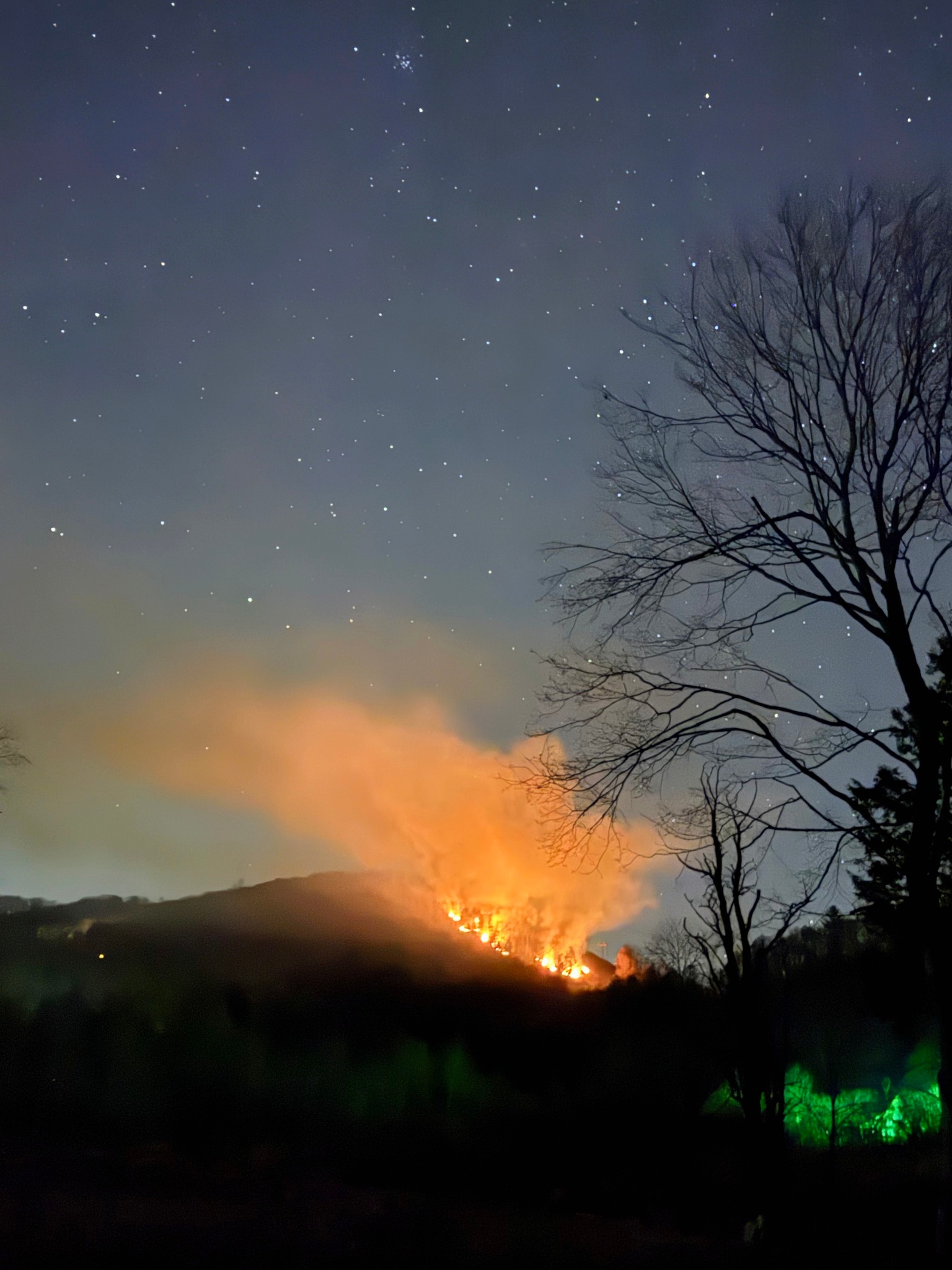 Visit - Forest fire update: Fully contained and under control! No ...
