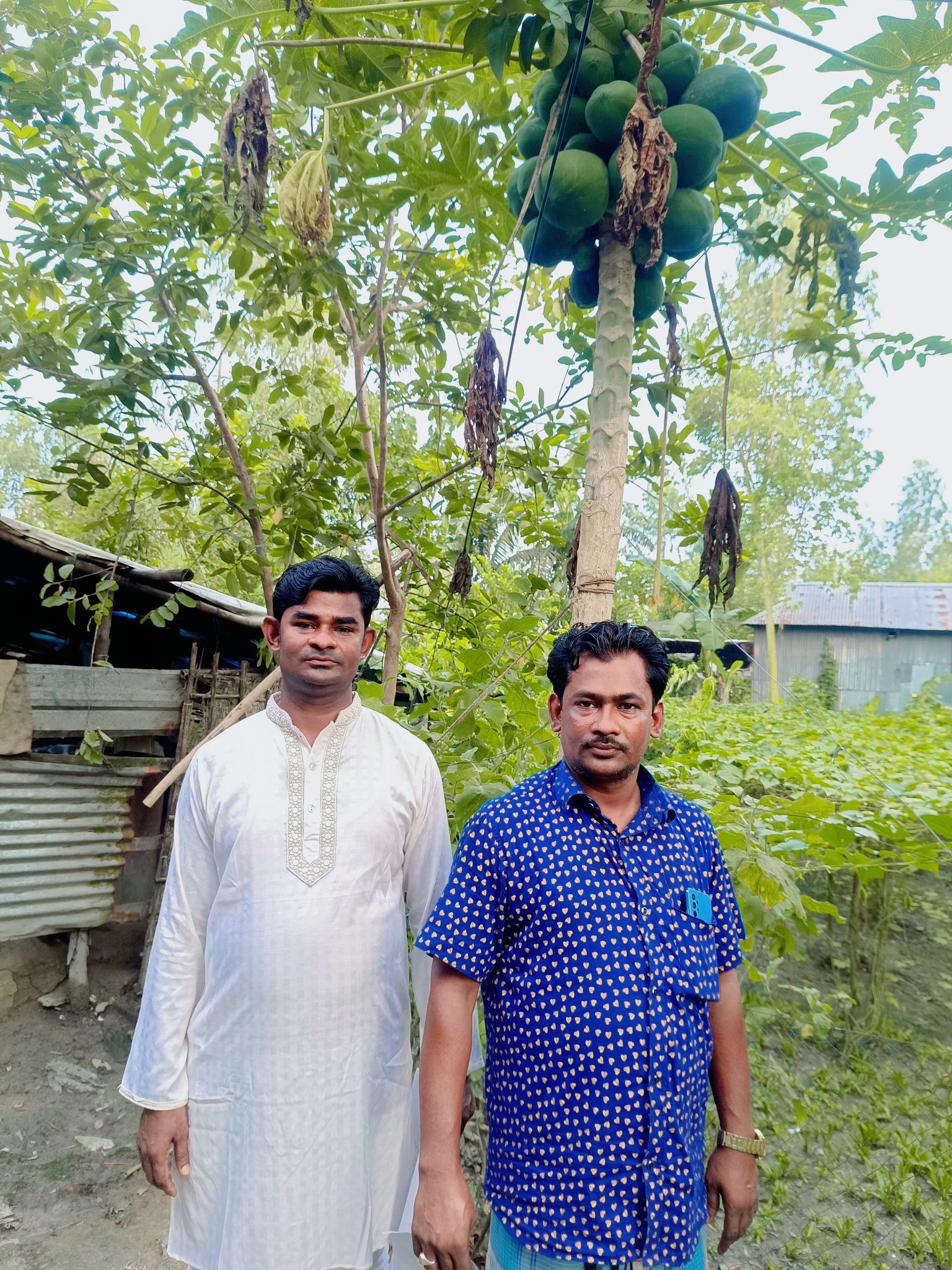 মায়ের ভক্ত মারুফ