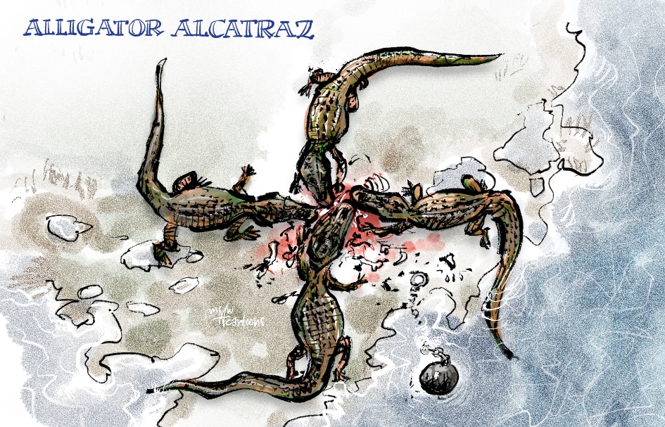 MWcartoons - 'Adolf' Alligator Alcatraz #Alligator #Alcatraz is an # ...