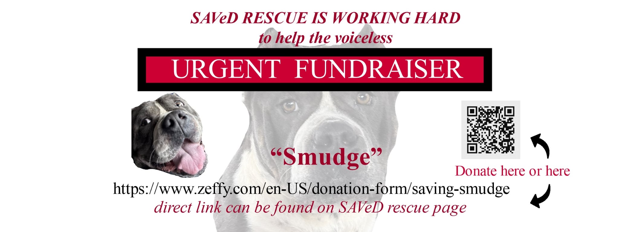 SAVeD Rescue