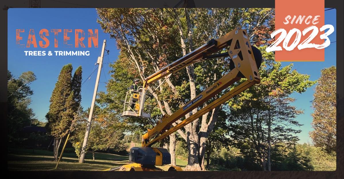 Eastern Trees & Trimming | Truro NS
