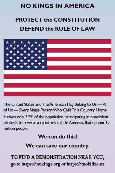 Card Campaign - NO KINGS IN AMERICA NO SOLDIERS ON OUR... | Facebook