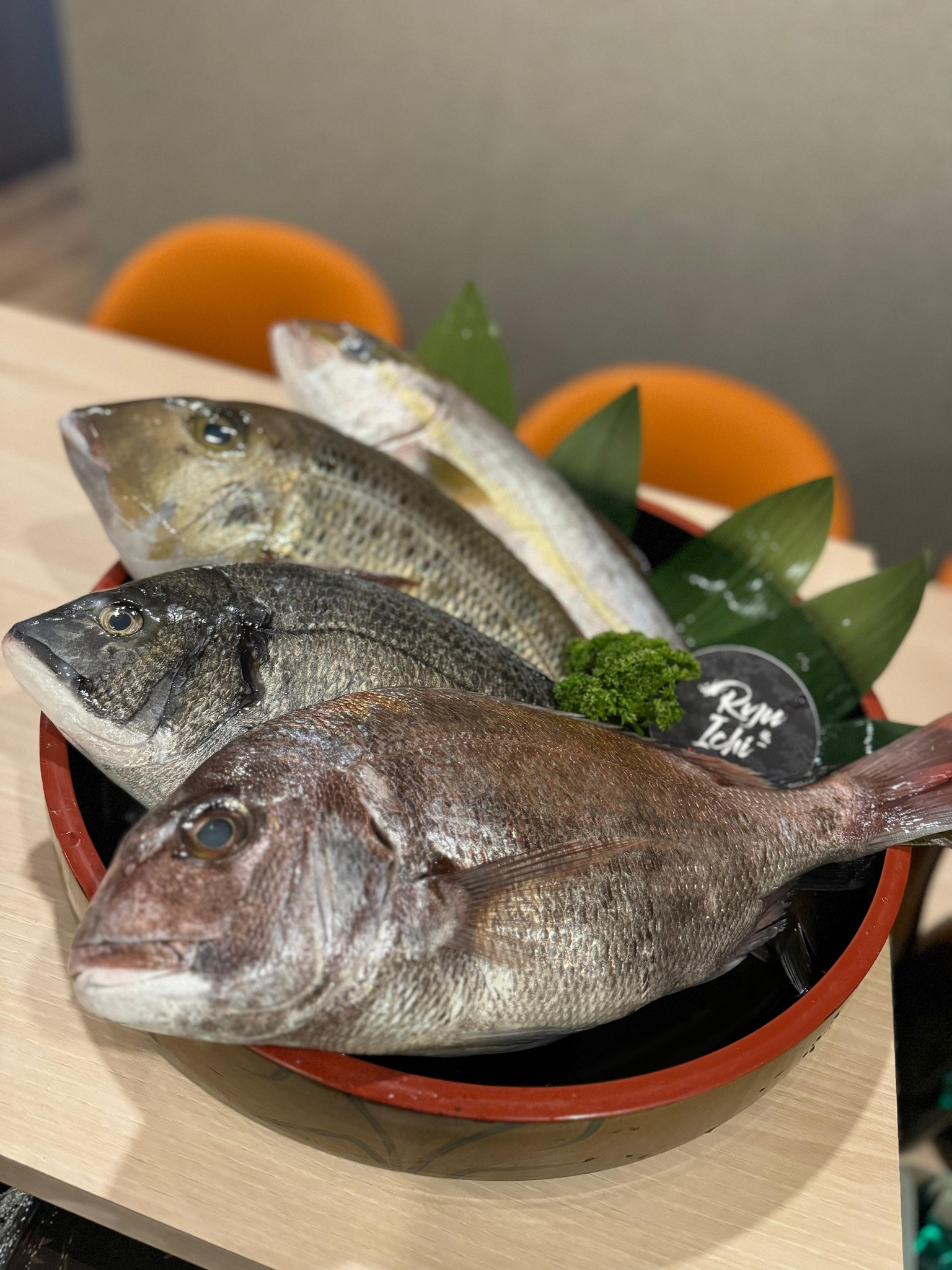 Ryu Ichi Japanese Restaurant | Singapore Singapore