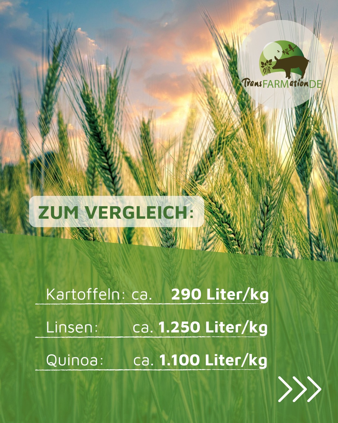 Transfarmation Deutschland e.V.