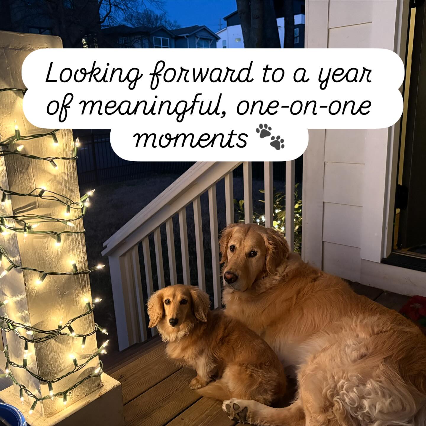 Petworthy - As I reflect on 2025 and look ahead to the... | Facebook