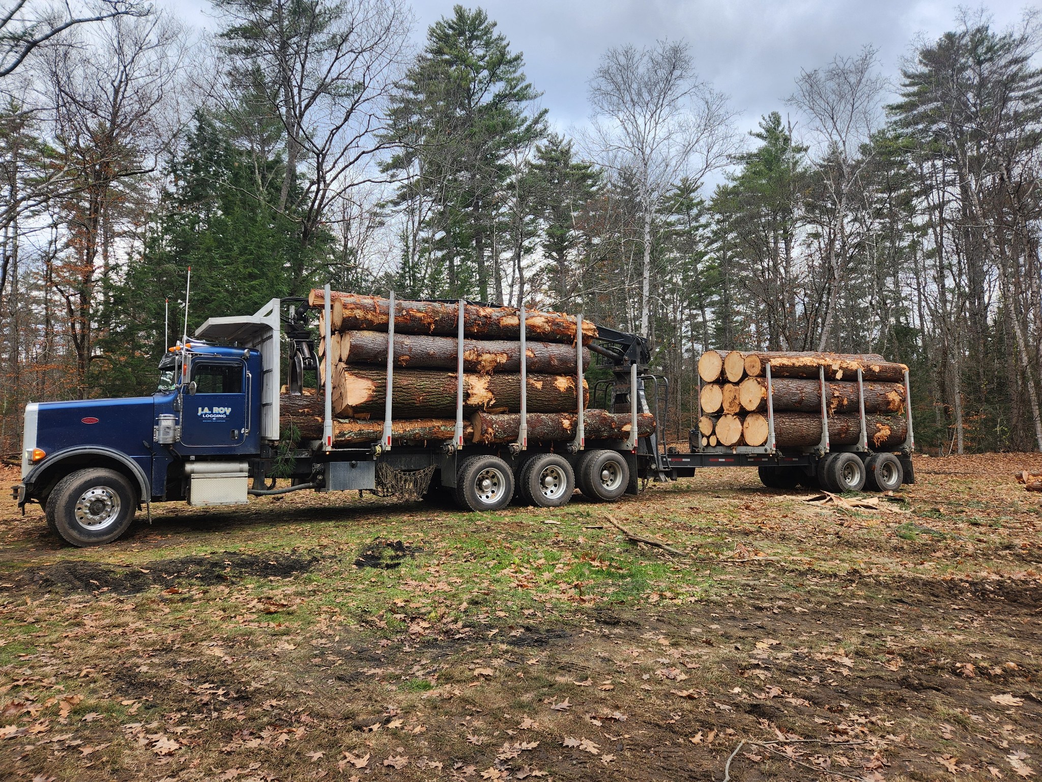 J.A. Roy Logging | Boscawen NH