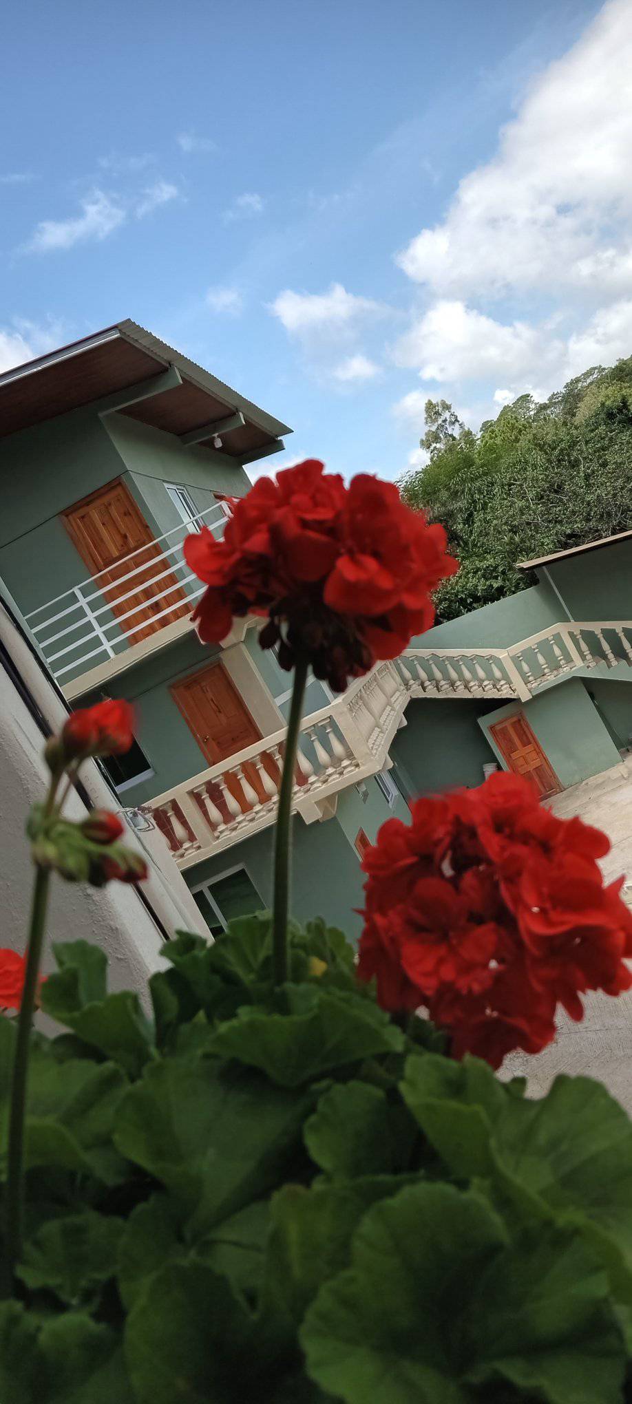 Hotel Los Angeles | Intibucá