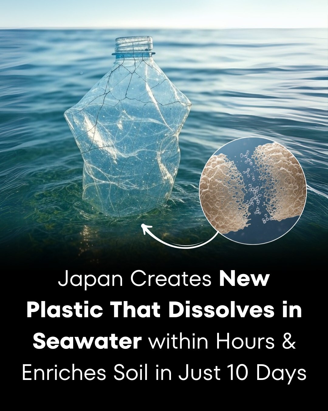 Fact - Researchers at Japan’s RIKEN Center and the University of Tokyo ...