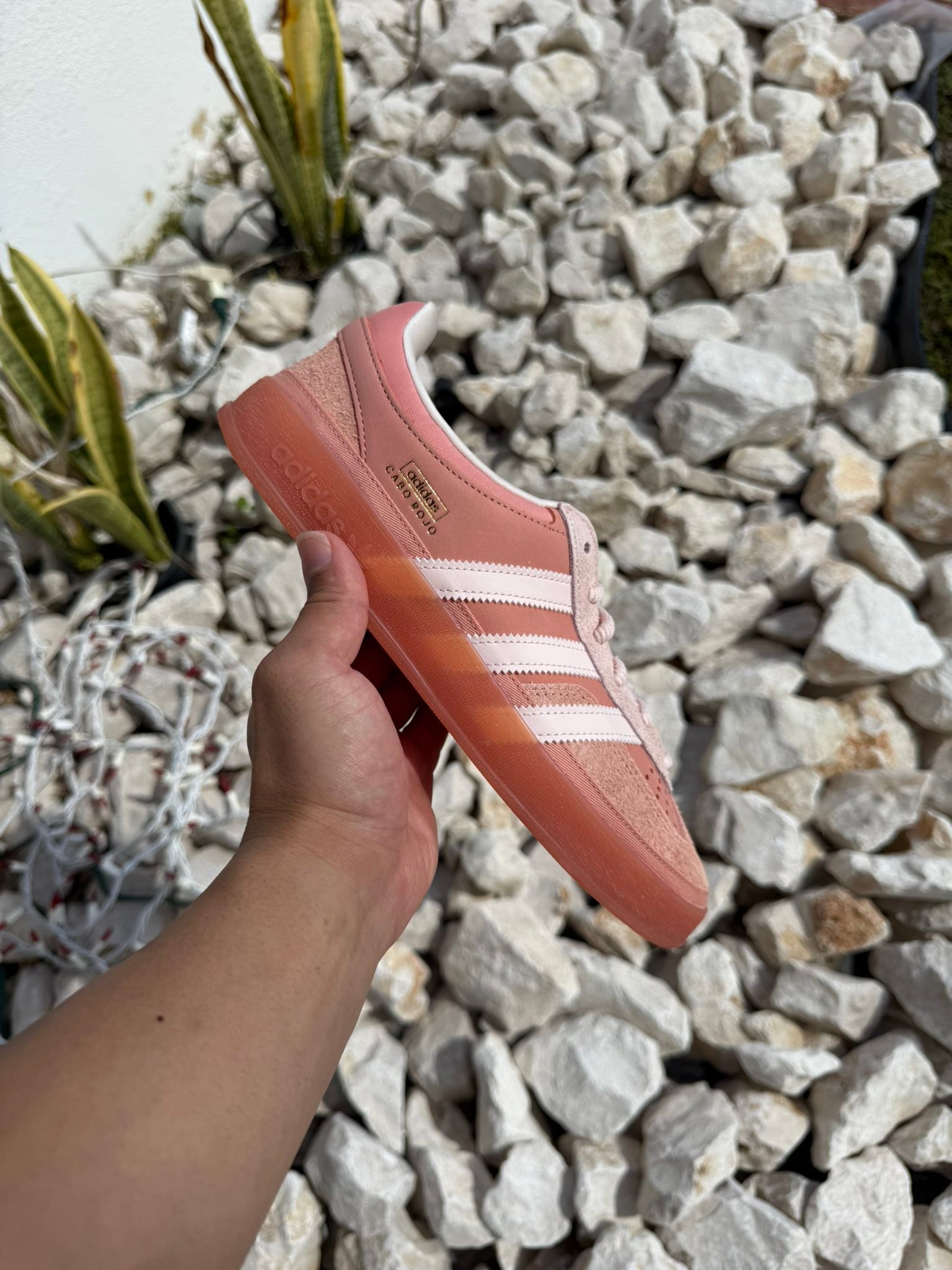 Se venden (nuevas DS)
