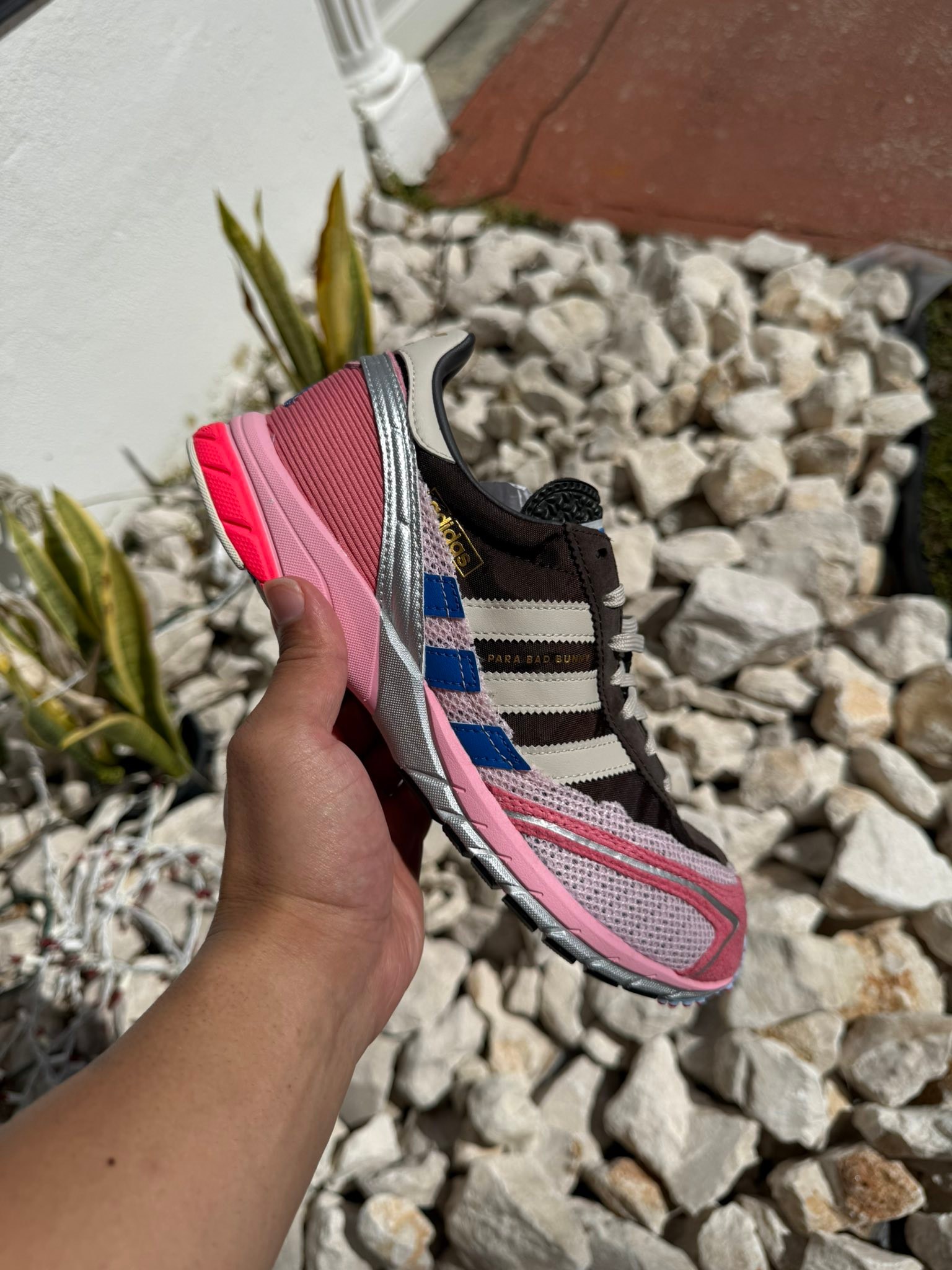 Se venden (nuevas DS)