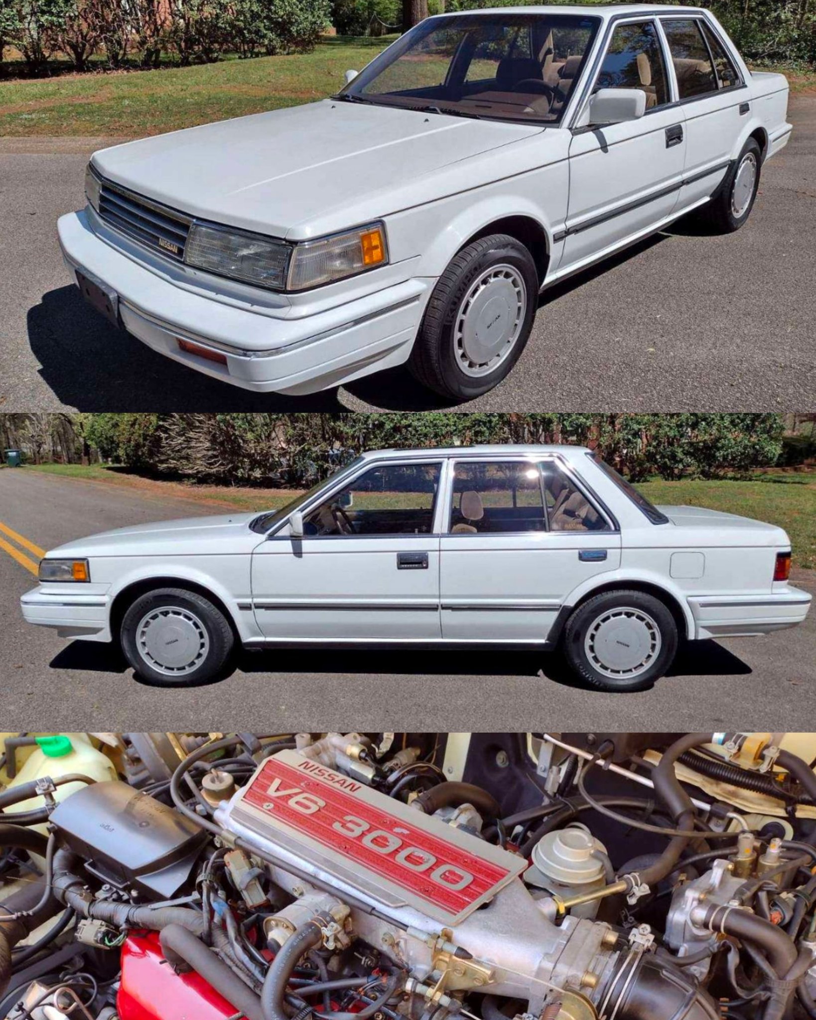 1981 Datsun 810 Maxima: Nissan's rear-wheel-drive milestone