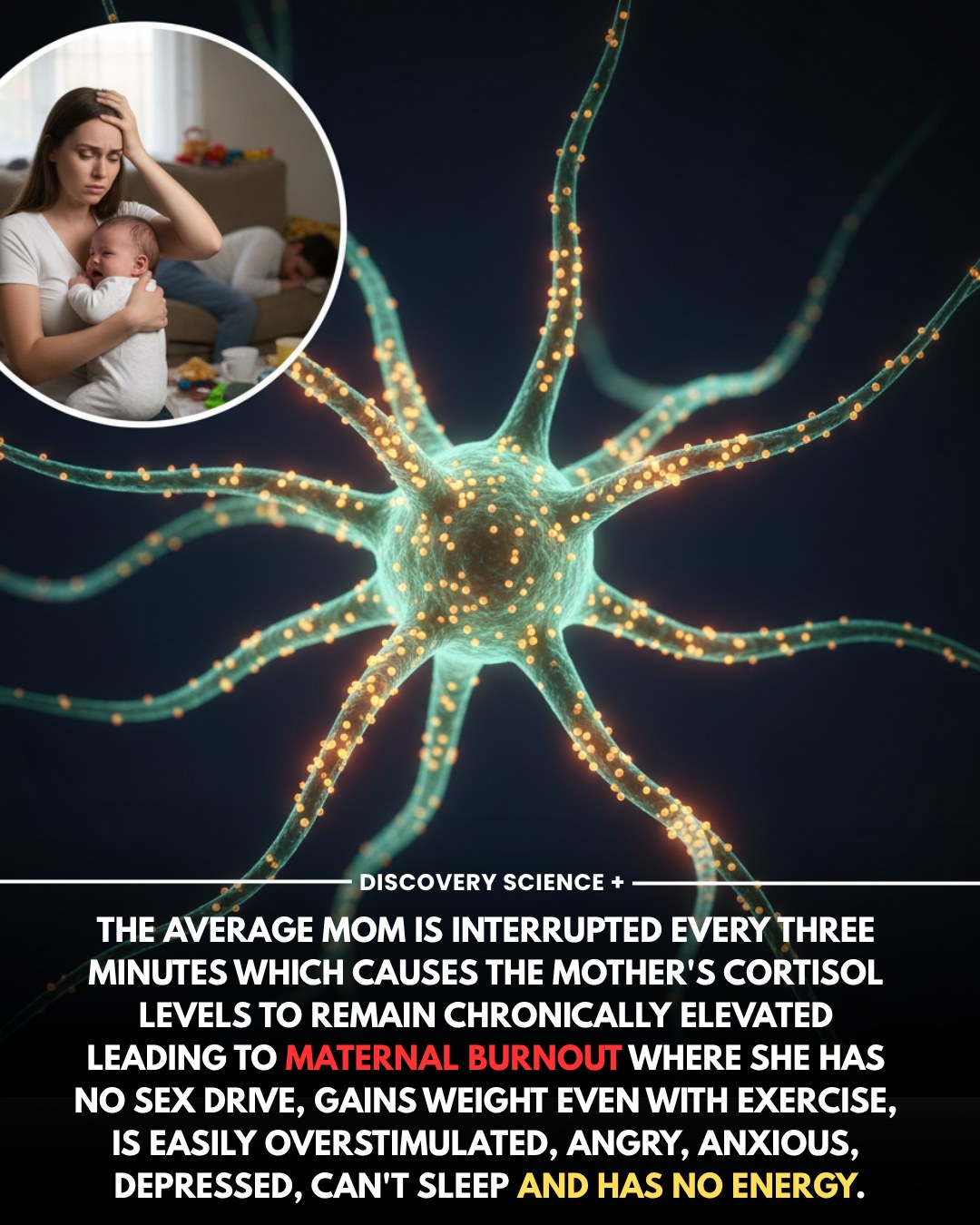 🧠🔬 Being interrupted every 3 minutes totaling roughly 400 times  