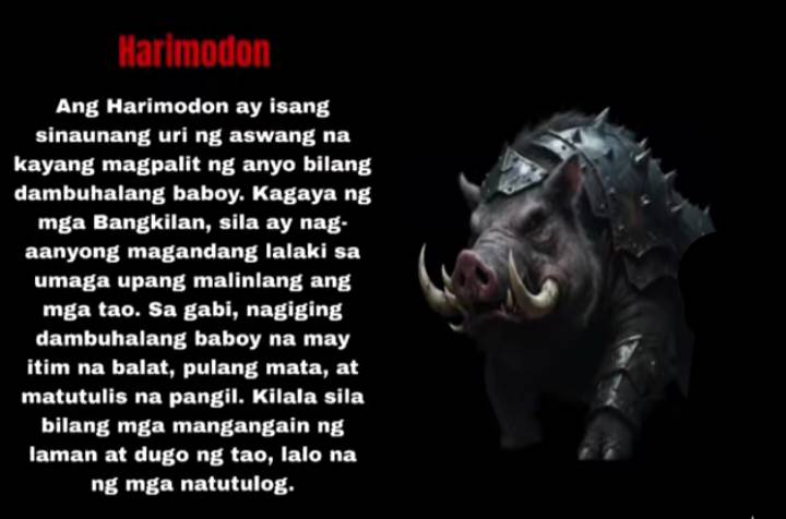 Mandirigma Ng Mindanao added a... - Mandirigma Ng Mindanao