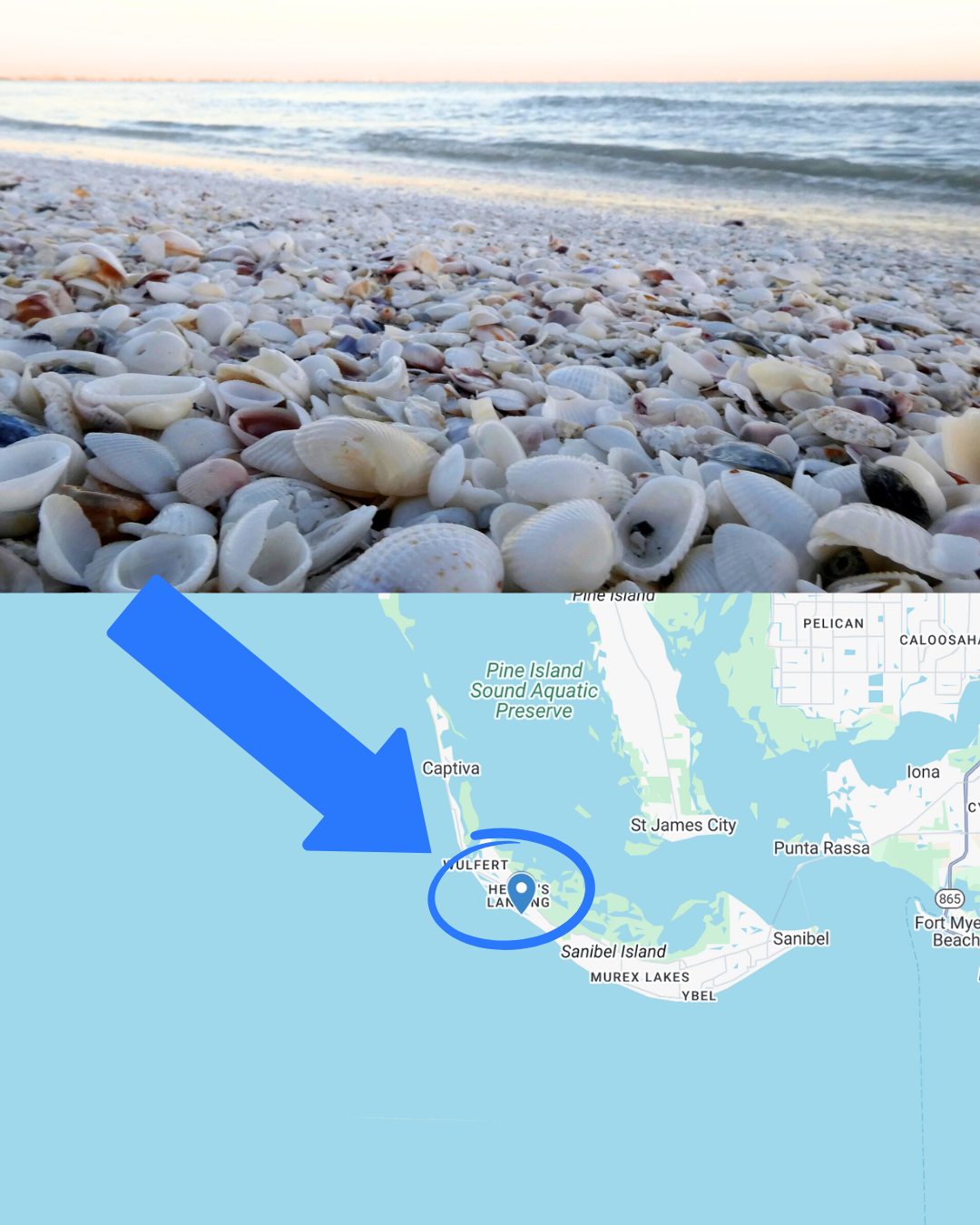 Florida - Did you know this beach on Sanibel Island is part of one of ...