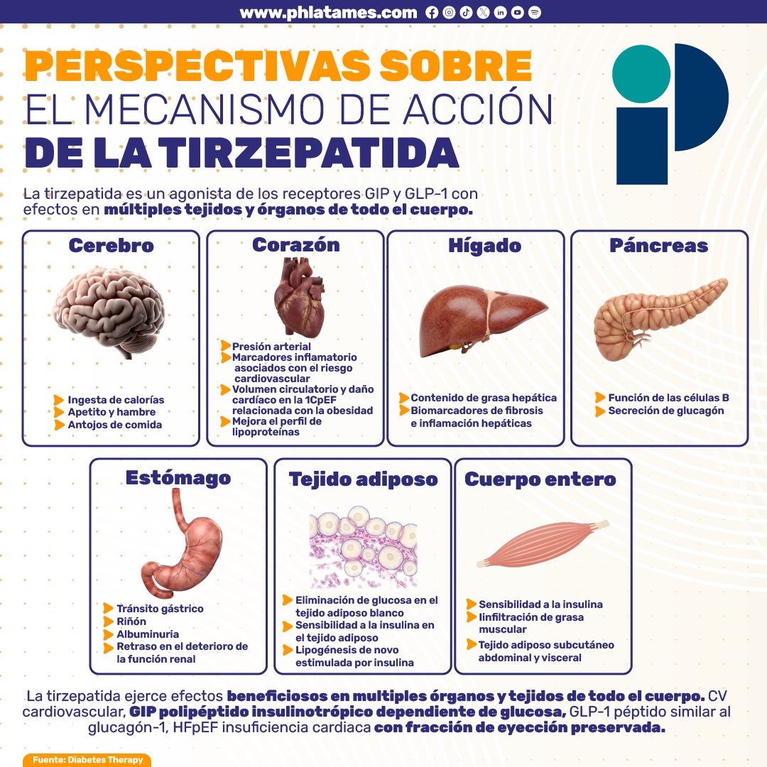 tirzepatide beneficios en espaol Cumple tu propsito de ao nuevo, reduce peso y talla  Te cuesta bajar de peso aunque lo intentes todo? La tirzepatida es una opcin innovadora que ayuda a controlar el apetito Control de la diabetes tipo
