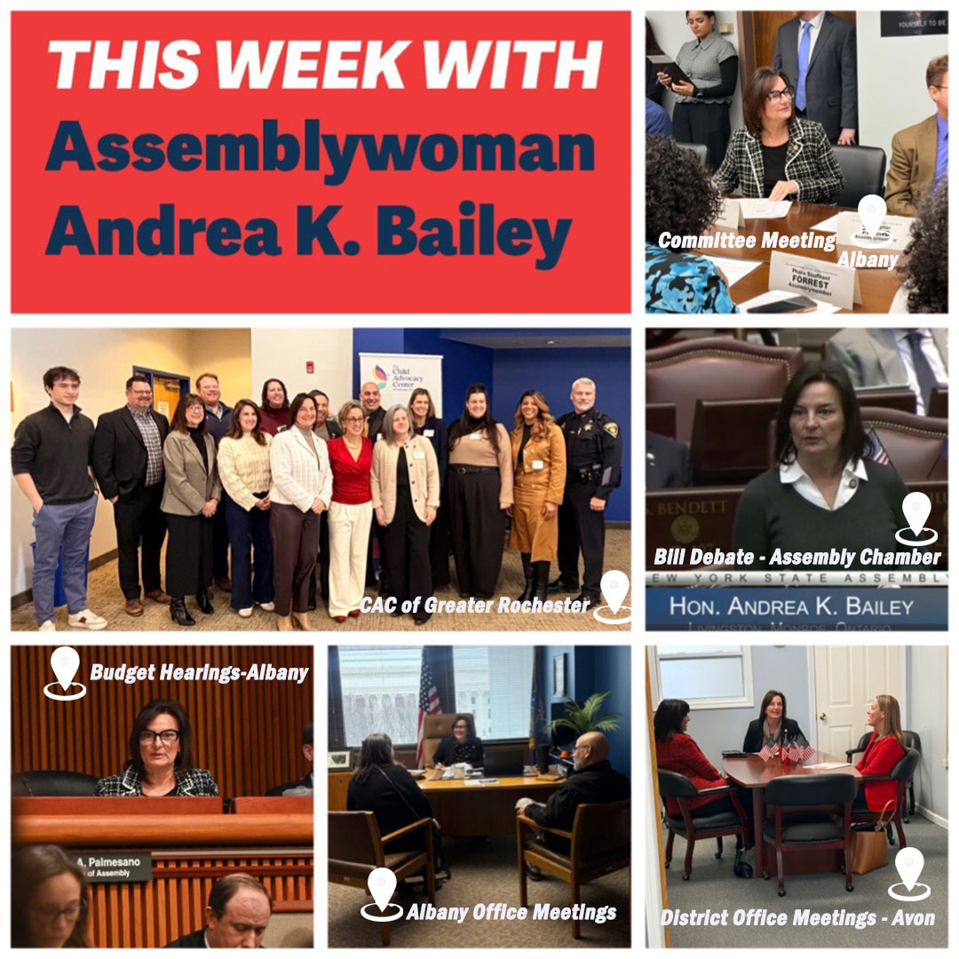 Andrea Bailey for Assembly