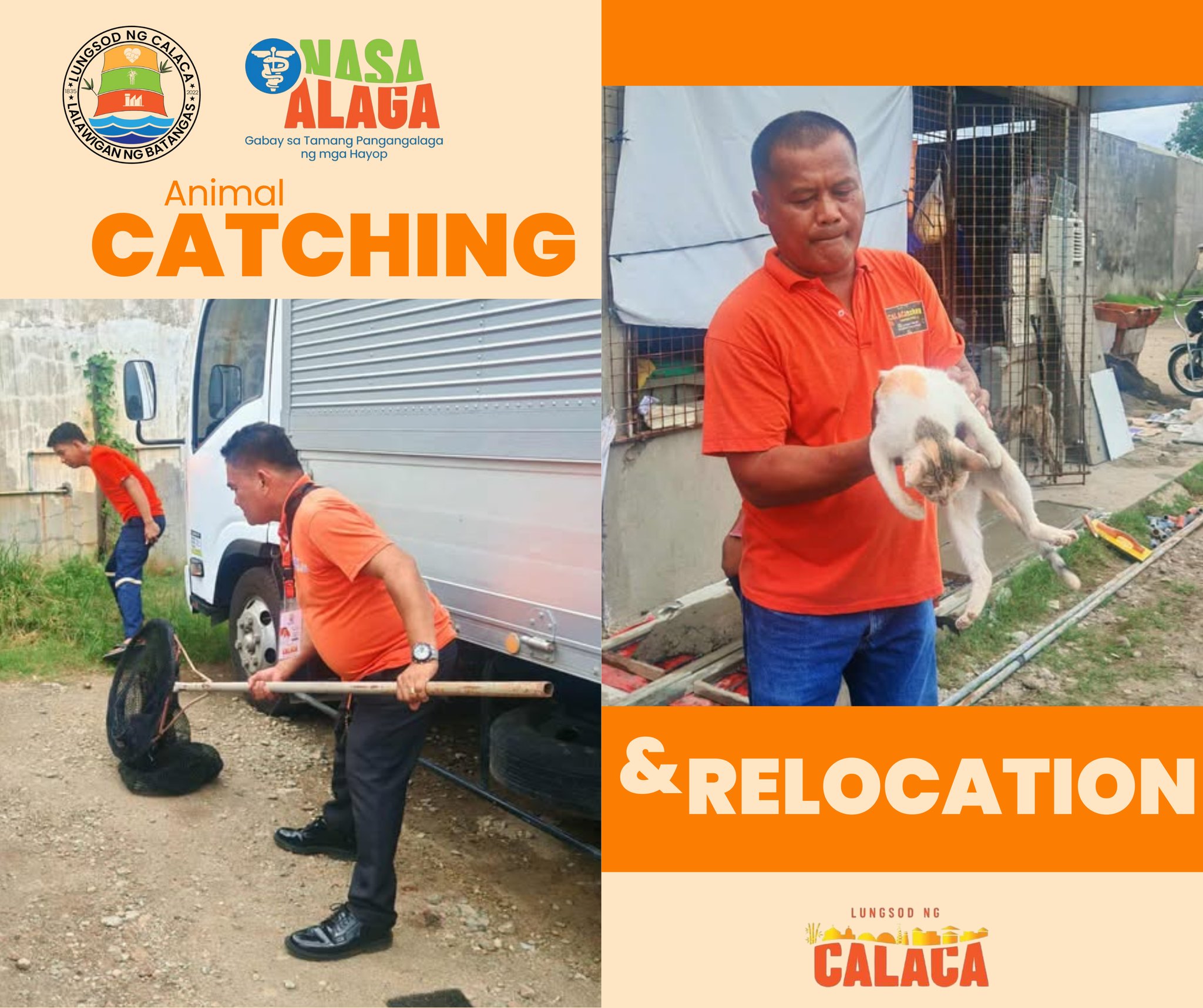 Calaca - 𝗥𝗲𝘀𝗽𝗼𝗻𝘀𝗶𝗯𝗹𝗲 𝗔𝗻𝗶𝗺𝗮𝗹 𝗖𝗮𝘁𝗰𝗵𝗶𝗻𝗴 𝗮𝗻𝗱 𝗥𝗲𝗹𝗼𝗰𝗮𝘁𝗶𝗼𝗻 Patuloy ang ...