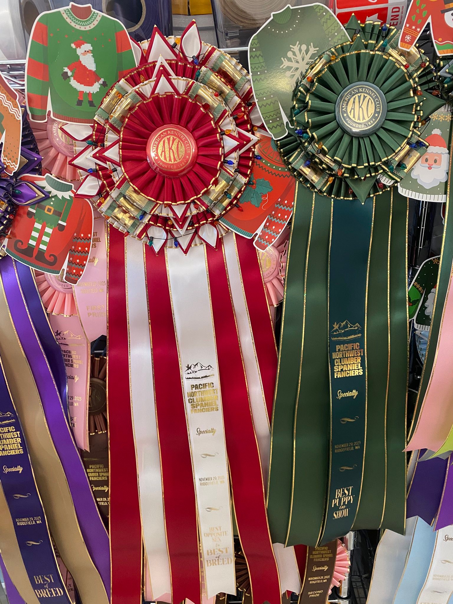 Best in Show Ribbons LLC