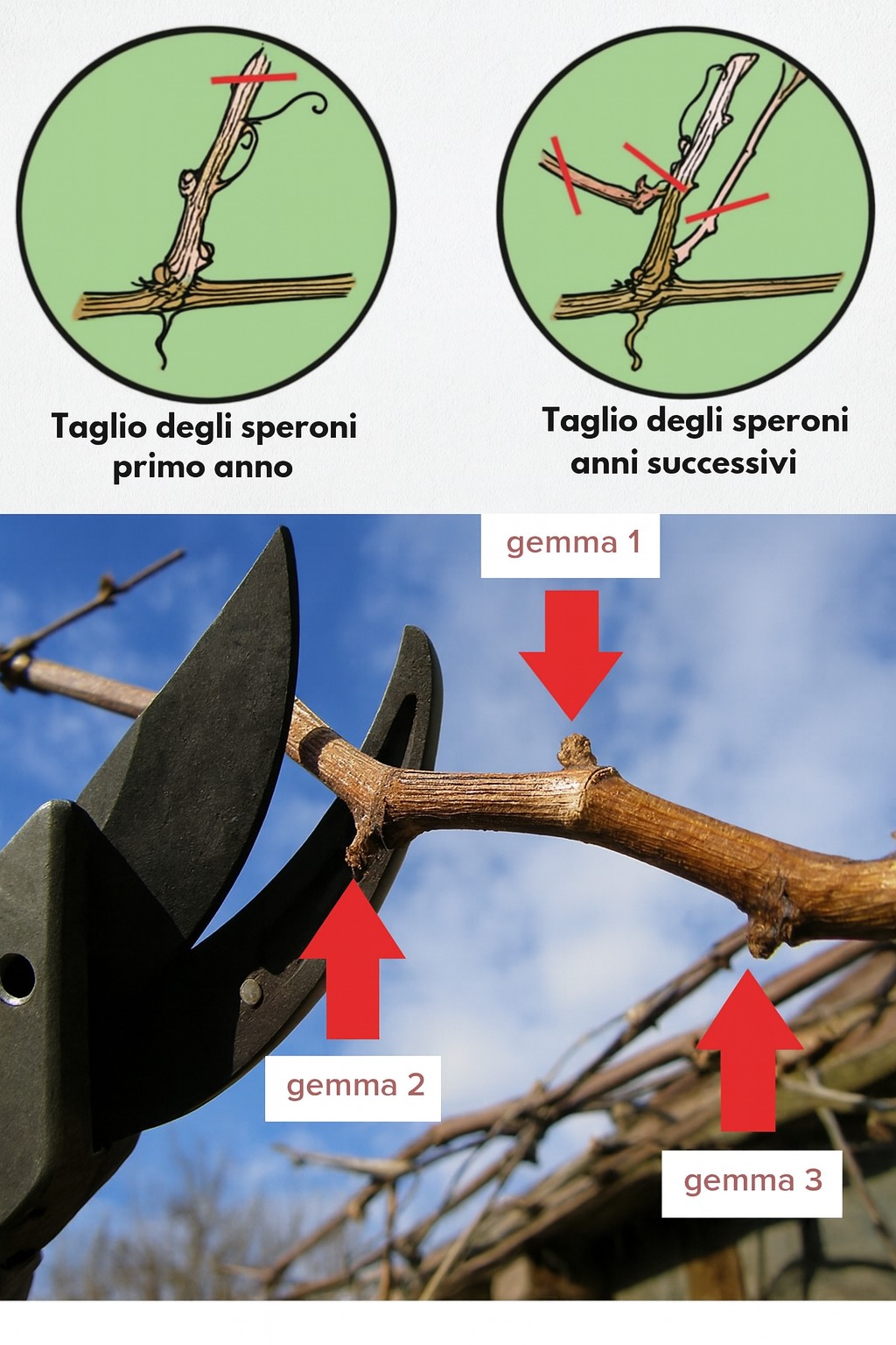 Set Di 2 Speroni In Acciaio Dolce Con Rotella Girevole, Antiruggine, Decorati, Per Equitazione Western E Cowboy