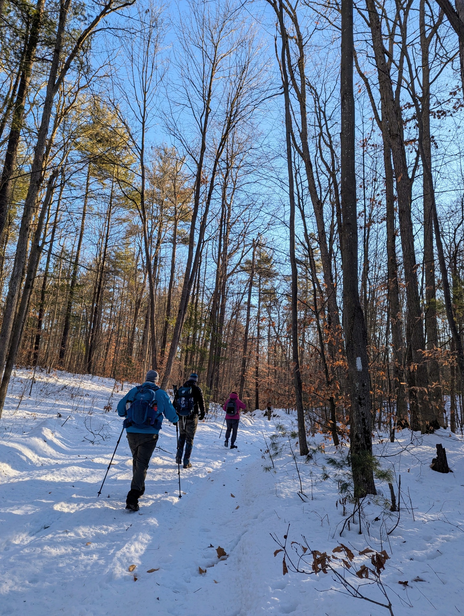 Oak Ridges Trail Association | Toronto ON