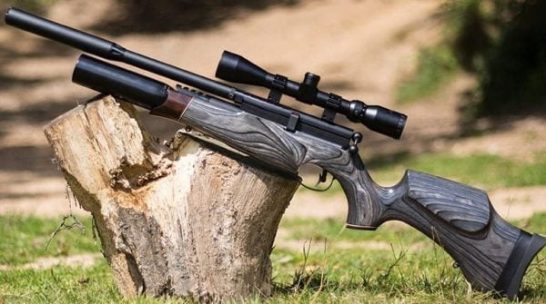 East - AIRGUN 101: Why Choose a PCP Airgun? If you're considering a new ...