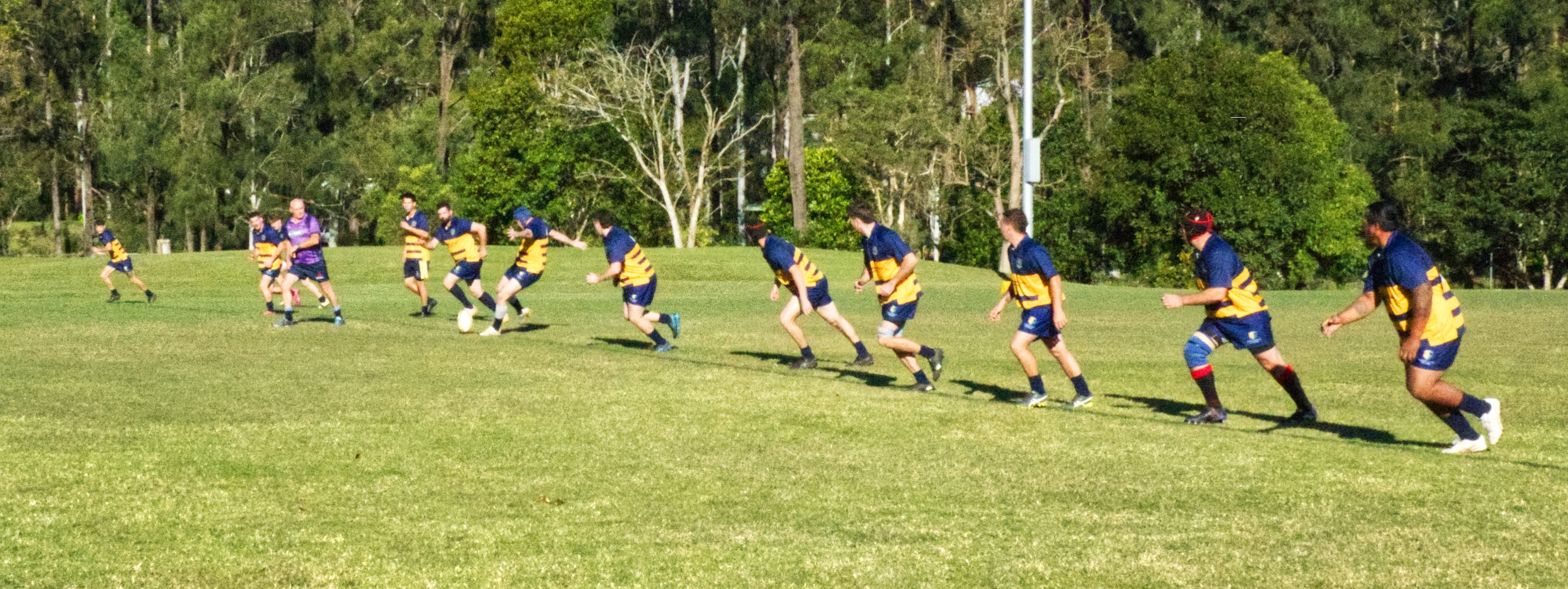 Southern Cross University Gold Rats