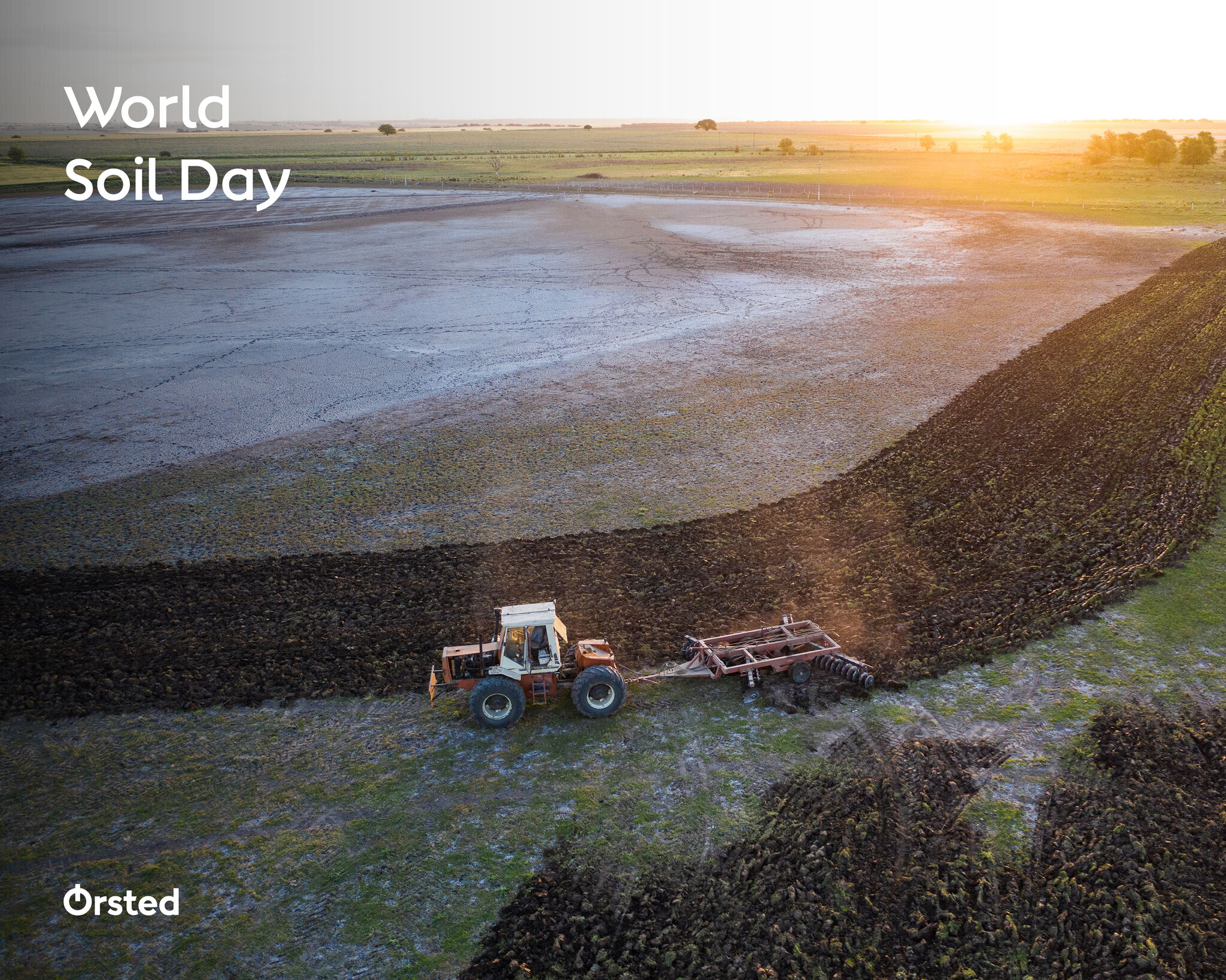 Geranium - Happy World Soil Day! 🌱🌍 Today, we celebrate the power of ...
