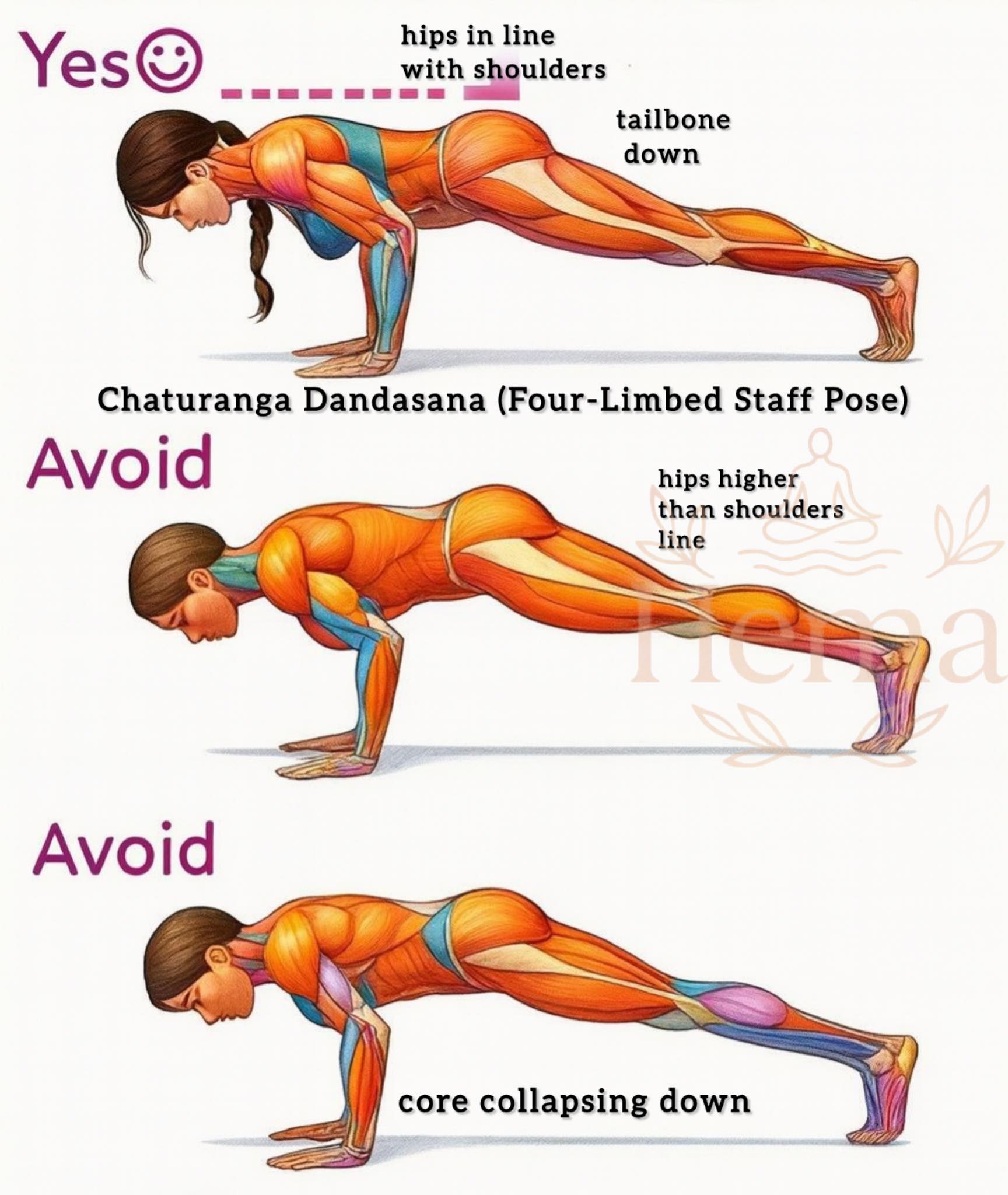 Hema - 🌹🌹Chaturanga Dandasana (Four-Limbed Staff Pose) Benefits ...
