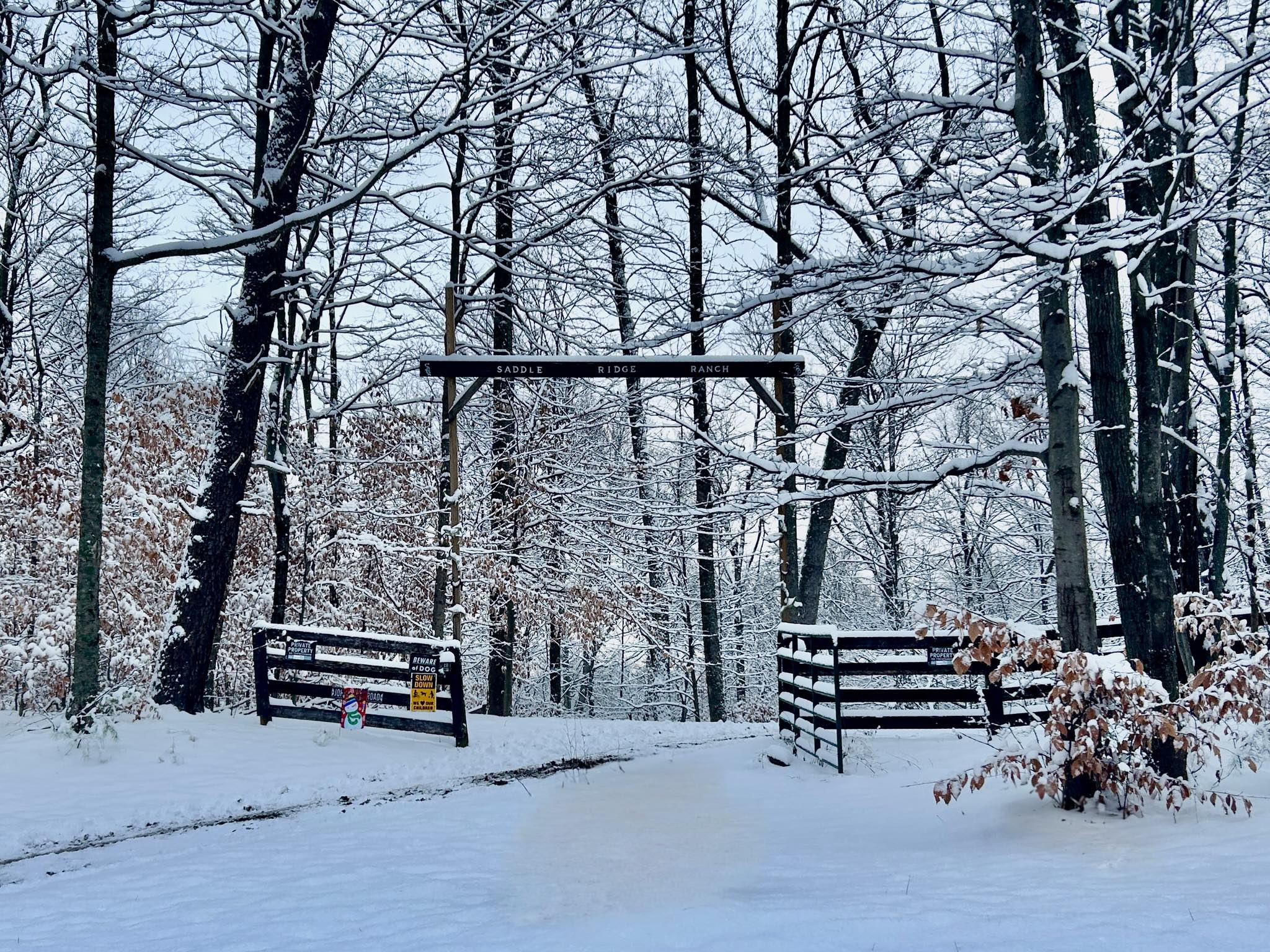 Saddle Ridge Ranch