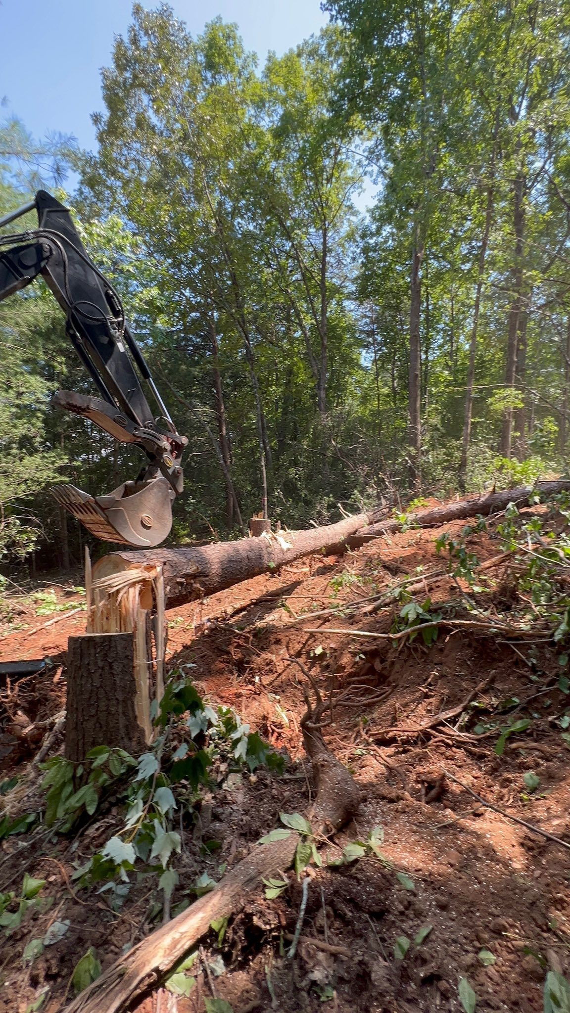 Upstate SC Contractors | Tree clearing!🌳🌳 If you’ve got trees and you ...