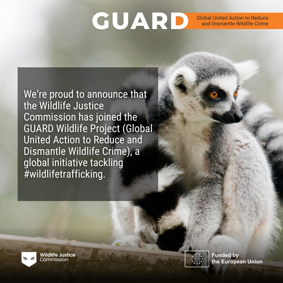 เราภูมิใจที่ได้เป็นส่วนหนึ่งในโครงการ GUARD Wildlife Project (Global ...