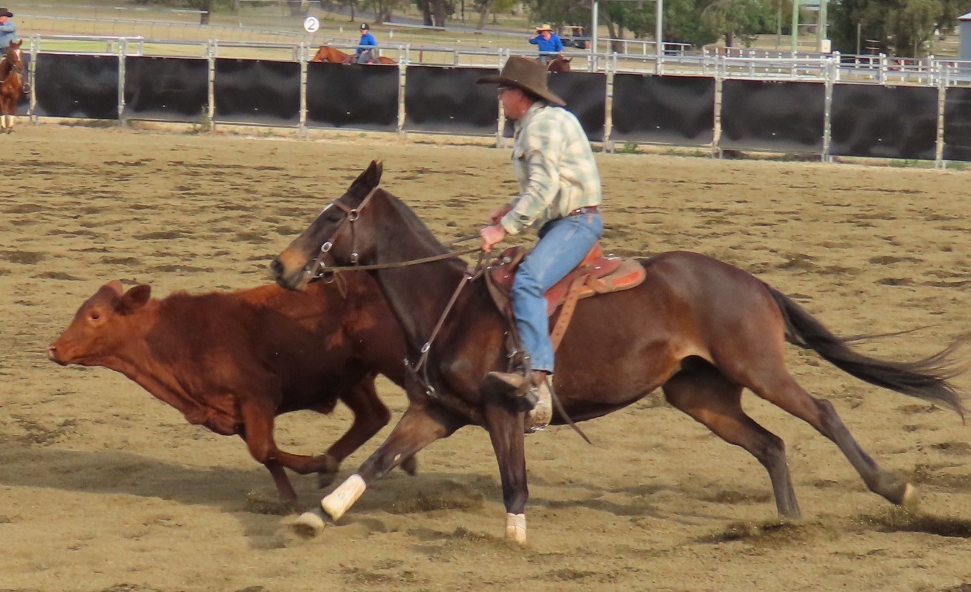 Bell Rodeo 2025 | Bell QLD