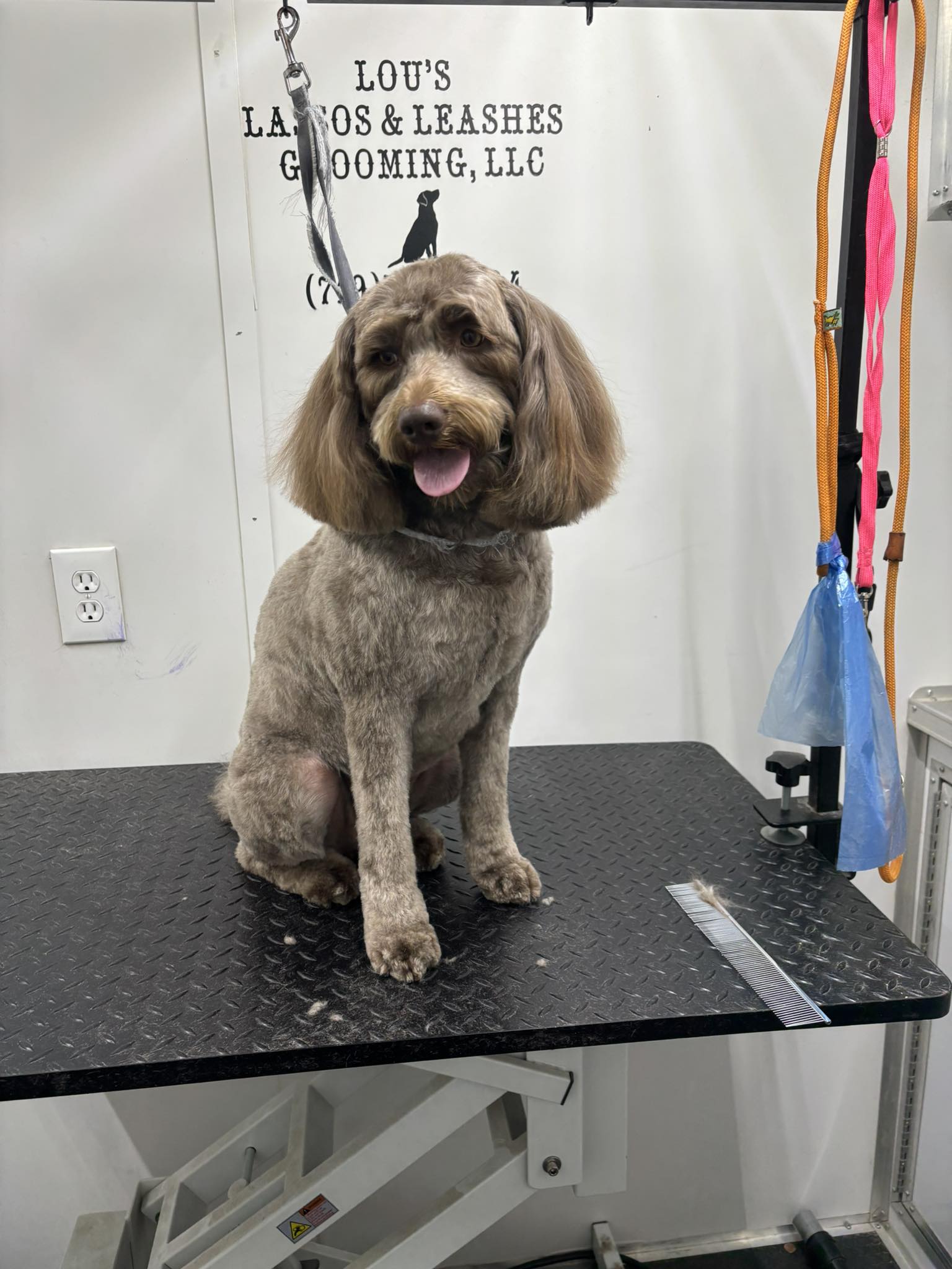 Cheyenne Community Connections | Lou’s Lassos and Leashes Grooming ...