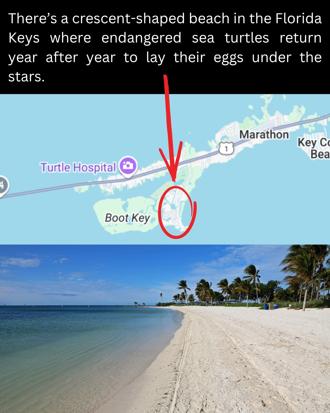 Florida - Overseas Highway Secrets > https://tripmemos.com/floridas ...