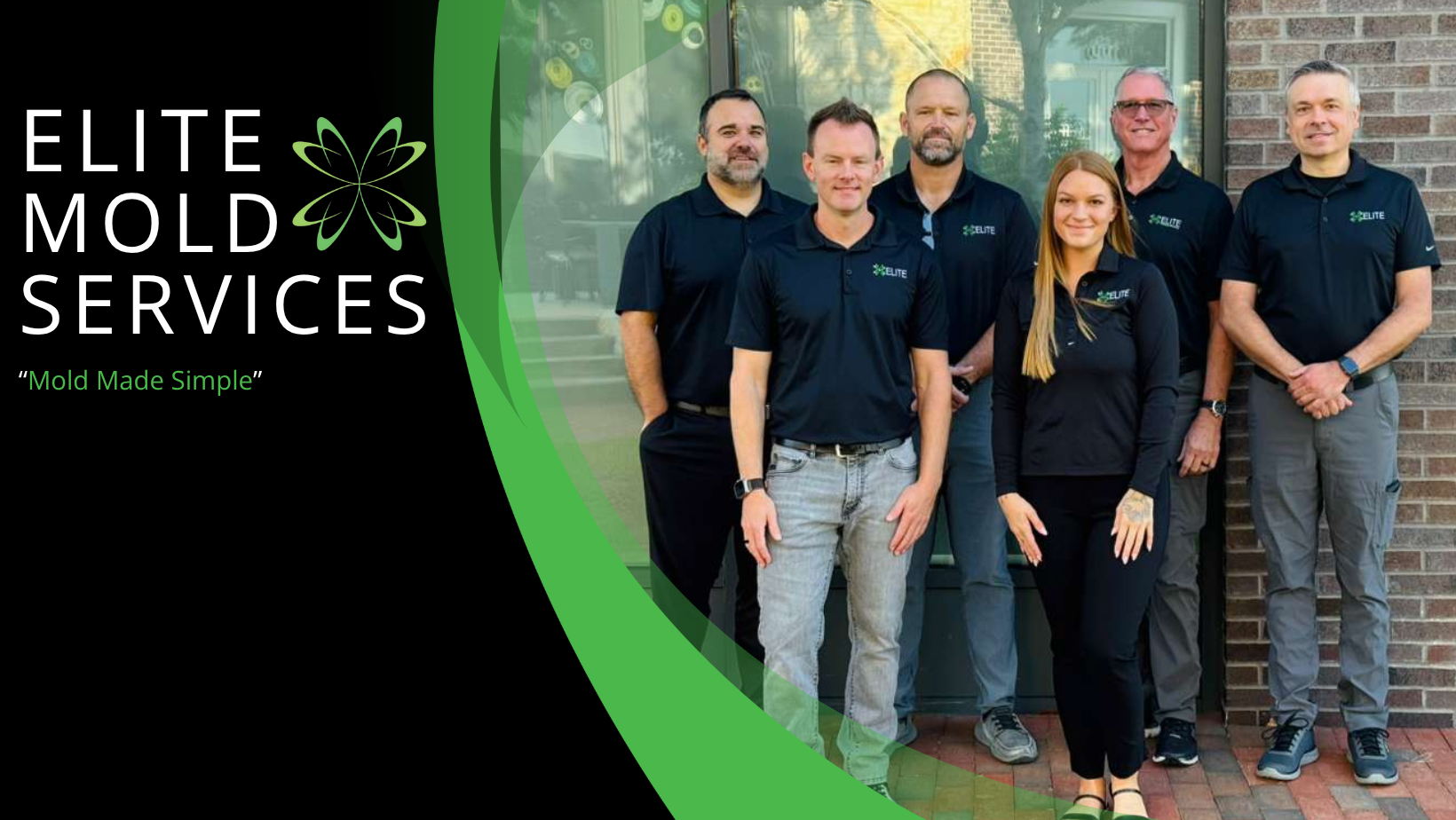 Elite Mold Services | Orlando FL