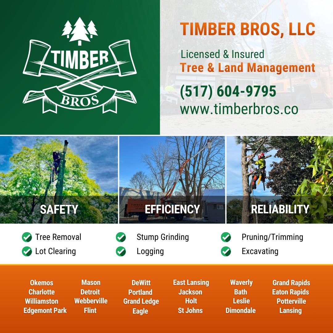Timber Bros LLC | Mason MI