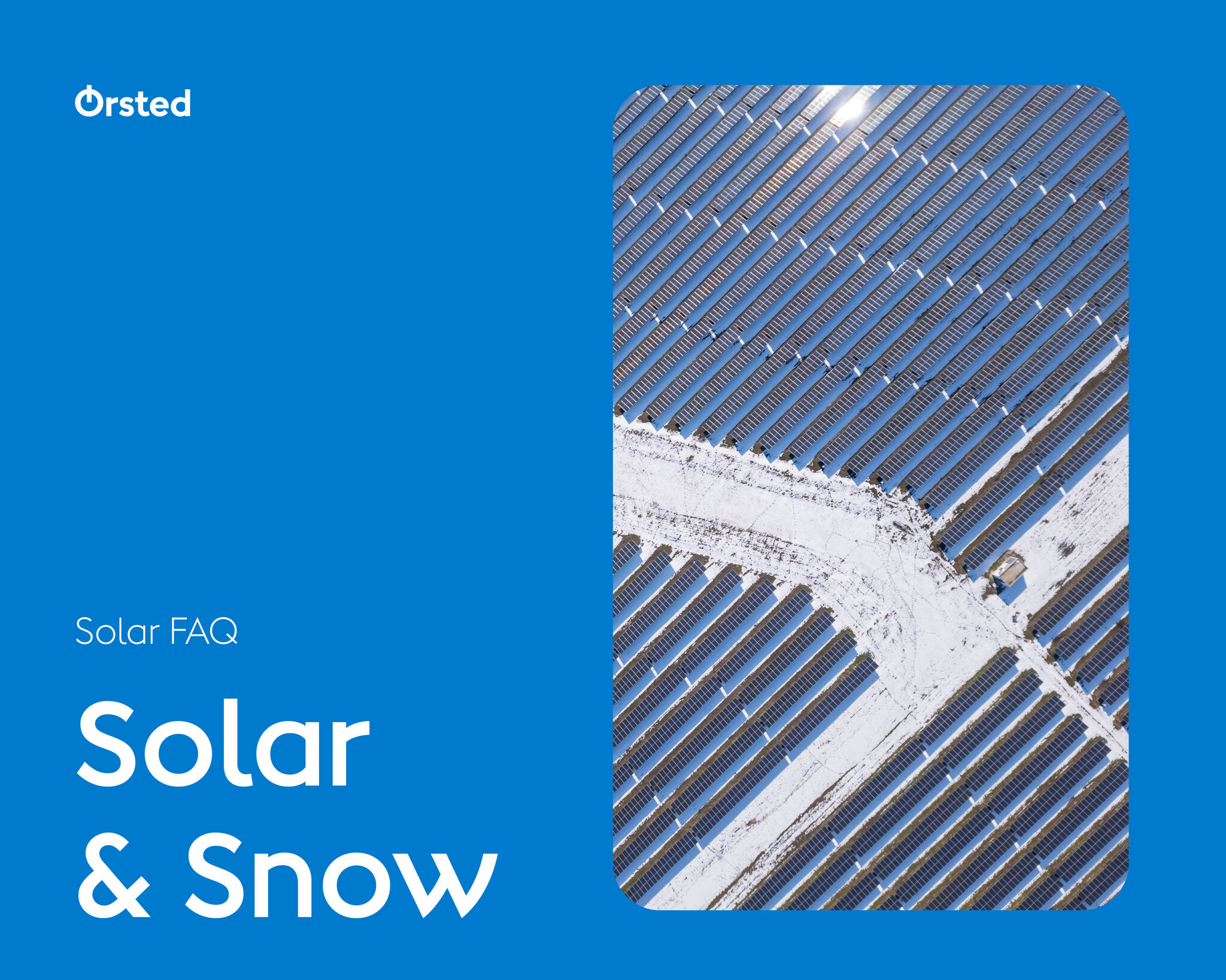 Geranium Solar