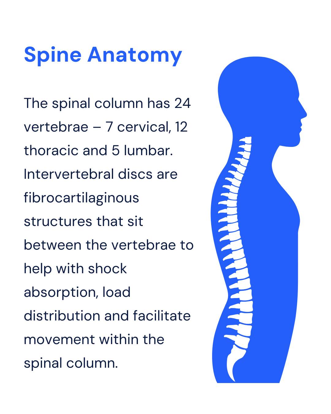 Endeavor... - Endeavor Health Orthopaedic & Spine Institute