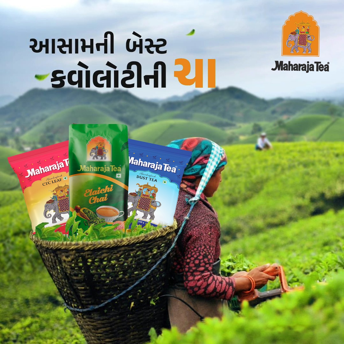 Maharaja Tea