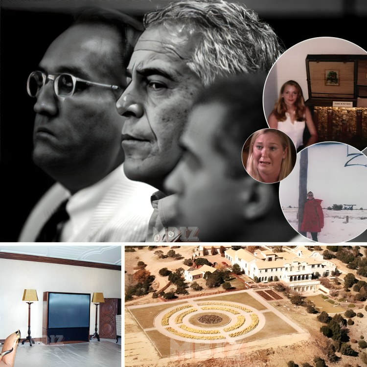 TV - 😳You think you’ve seen everything about Epstein’s world? Think ...