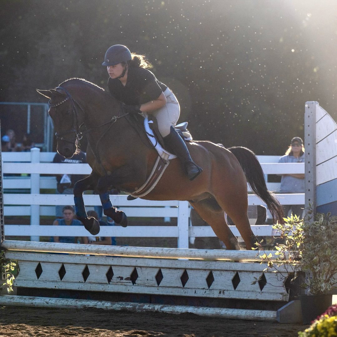 I am so pleased and proud of this horse. All though my time with Nevyn ...
